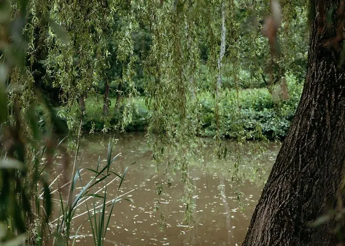 Ausserhalb2 - Wassermuehle * Weisel